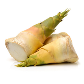 Bamboo Shoot