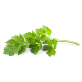 Chinese Celery