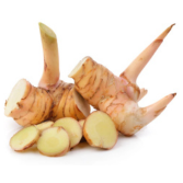 Galangal