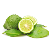 Kaffir Lime