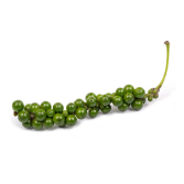 Young Green Peppercorn