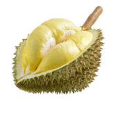 durian