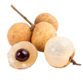 longan