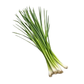 spring-onion