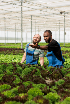 Livestock vs. Crop Farming: Which Is Right for You?