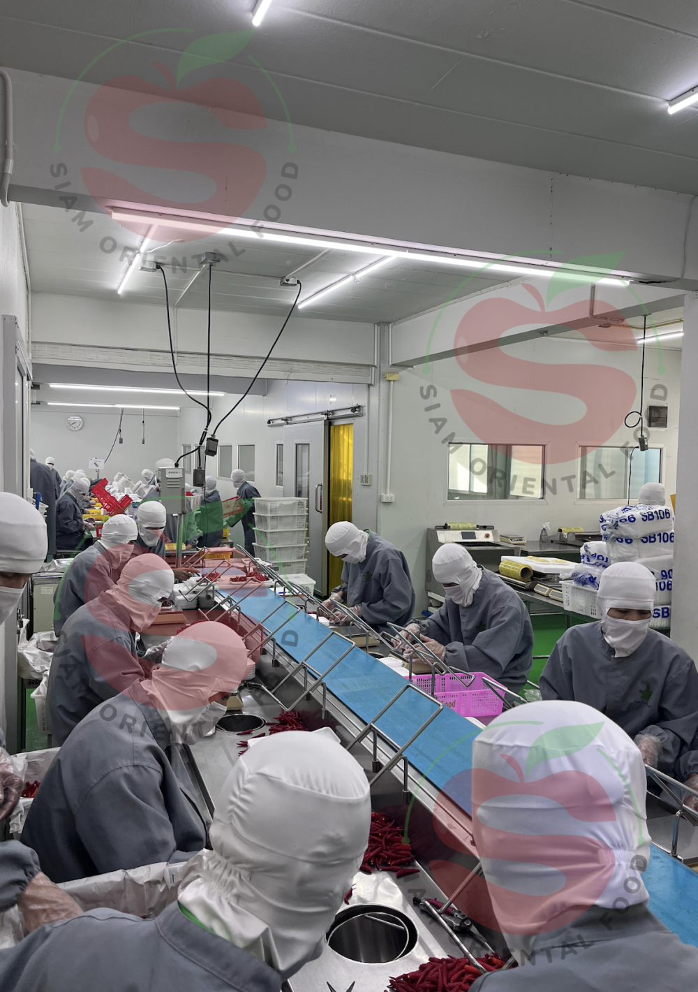 Siam Oriental Food | Packing Area