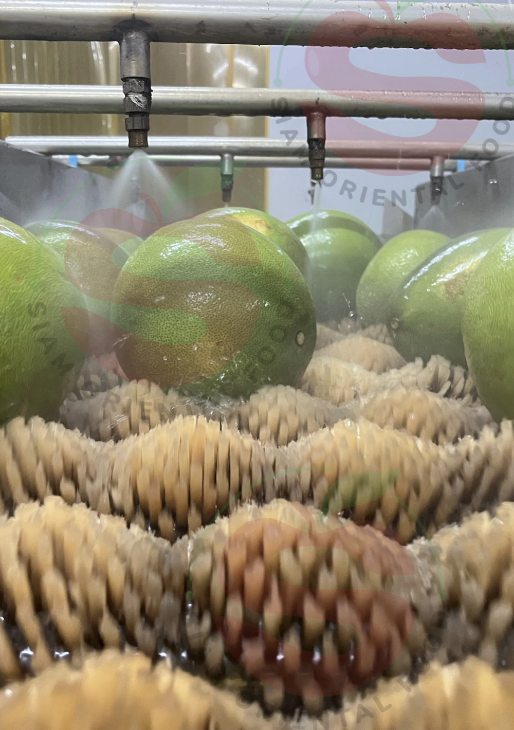 Siam Oriental Food | Pomelo Washing